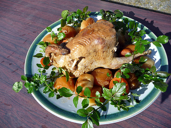 �W�r�G���� �R���i��܂ǂ�j�̃��[�X�g